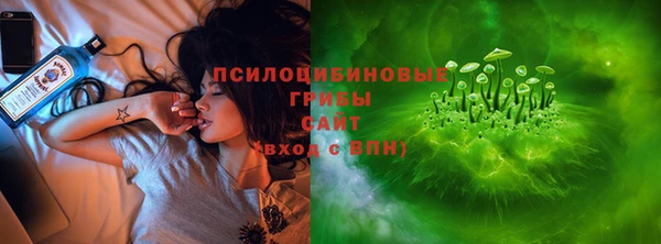 дмт Надым