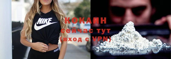 дмт Надым