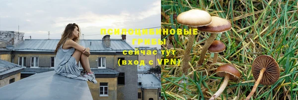 винт Михайлов