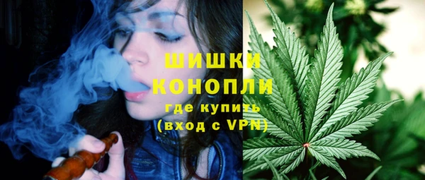 дмт Надым