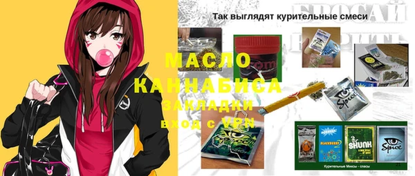 индика Михайловск