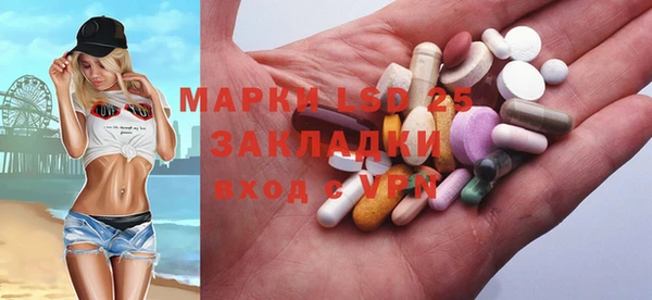 индика Михайловск