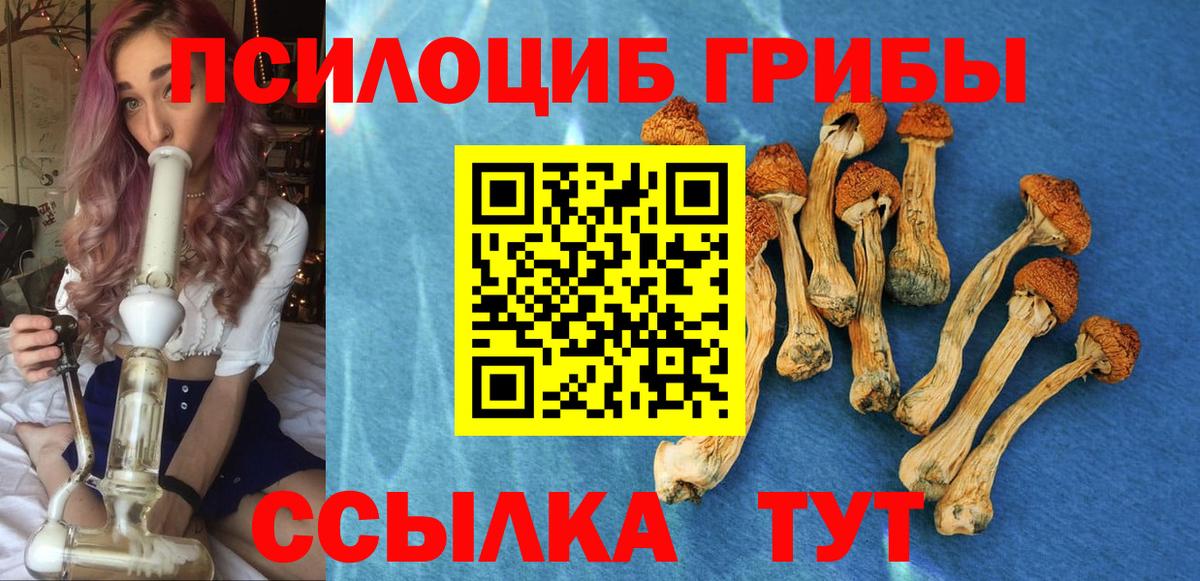 Лянтор  Галлюциногенные грибы мицелий  Вход с VPN 